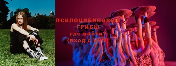 ALPHA PVP Гусиноозёрск