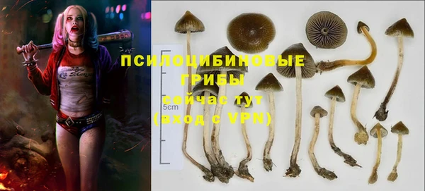 герыч Гусев