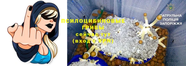 ALPHA PVP Гусиноозёрск