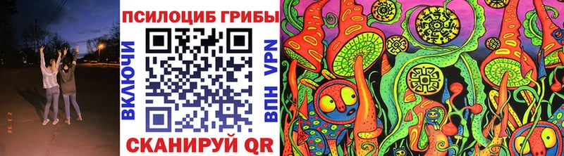 Купить закладки  Ноябрьск  Псилоцибиновые грибы GOLDEN TEACHER 